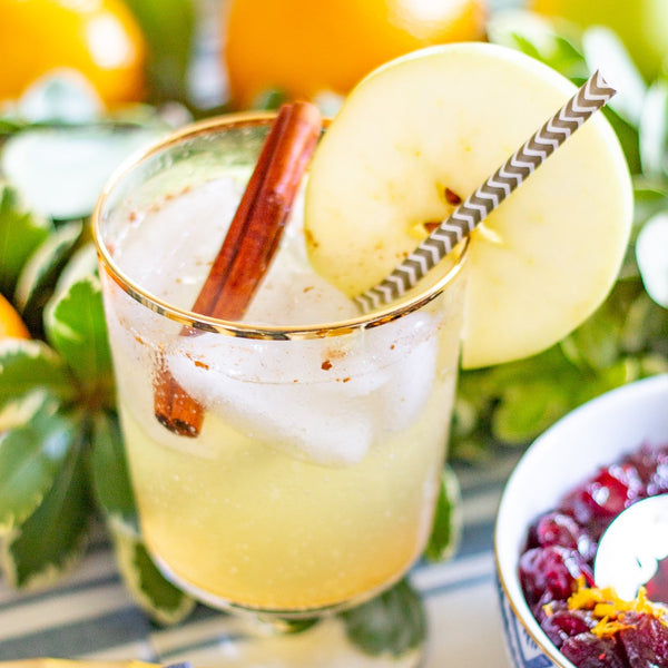 Mocktail in a glass, garnished with cinnamon stick and apple slice.